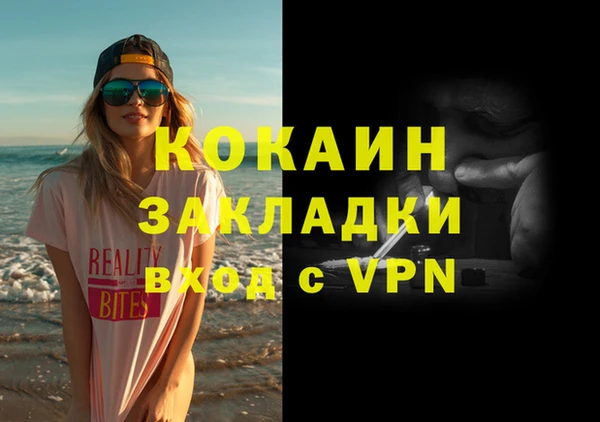 индика Аркадак