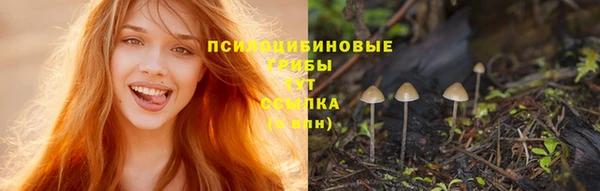 jwh Покачи