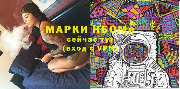 индика Аркадак