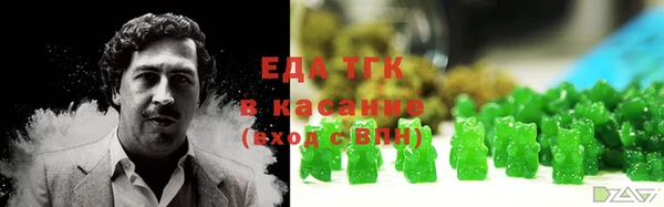 индика Аркадак