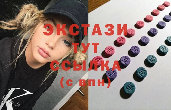 индика Аркадак
